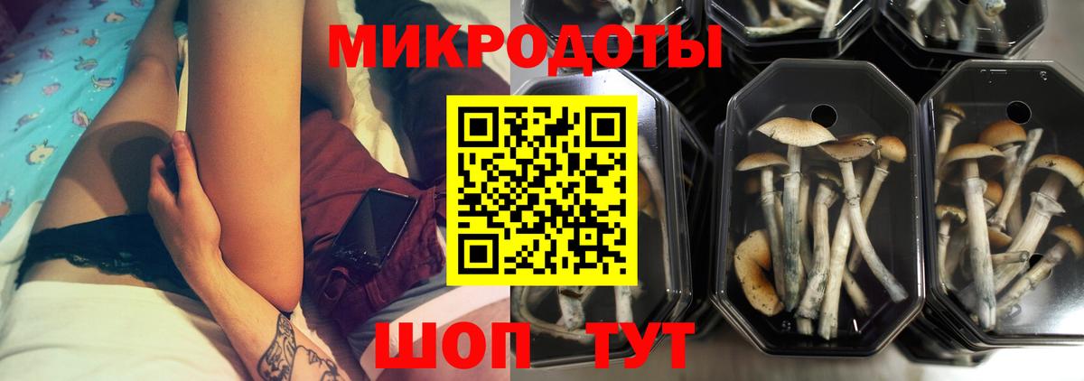Псилоцибиновые грибы мицелий  Вход с VPN  Борисоглебск 